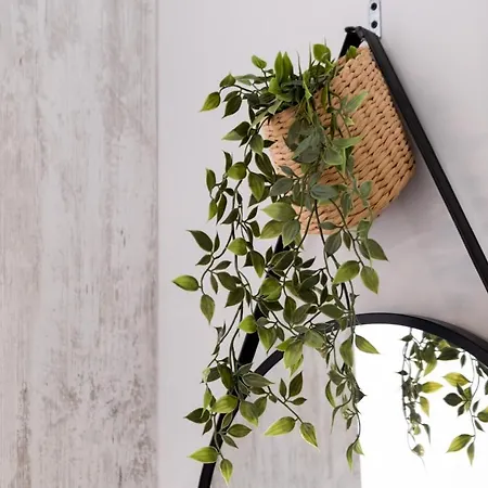 Apartment Mella Roa - Teal *